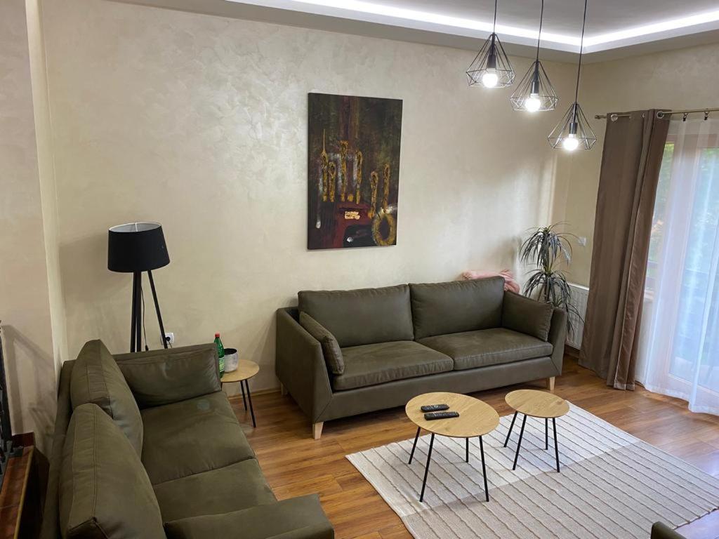 Apartments Vila Knez 즐라티보 객실 사진