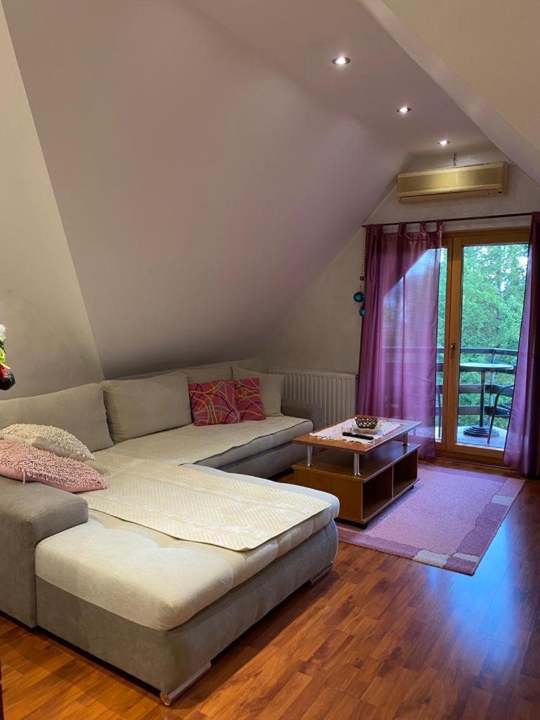 Apartments Vila Knez 즐라티보 객실 사진