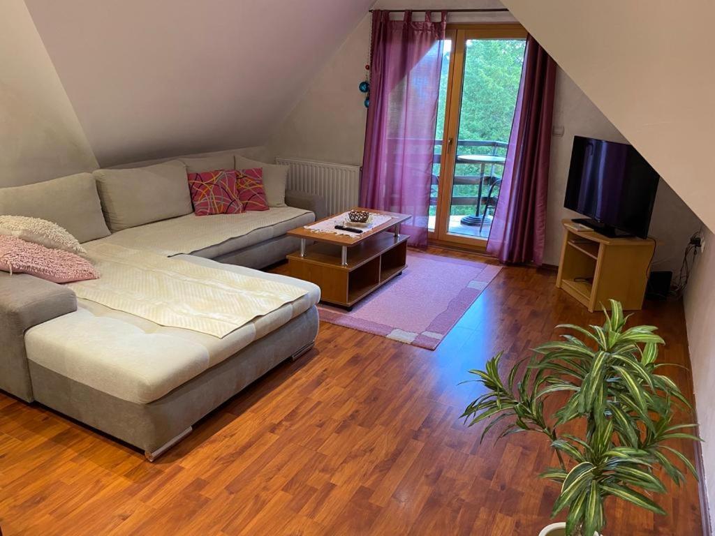Apartments Vila Knez 즐라티보 객실 사진